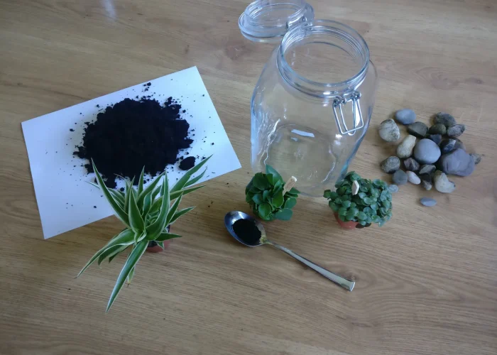 Building a self-sustaining ecosystem for humanity and planet.