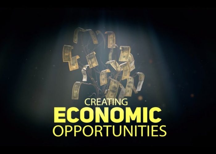 Creating economic opportunities through Peaceism platform.